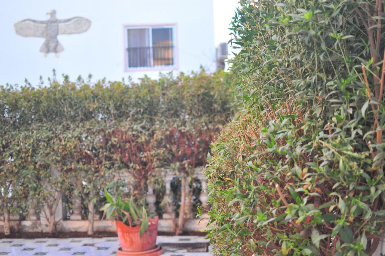Morning Star Guesthouse Sharm el-Sheikh Exterior foto